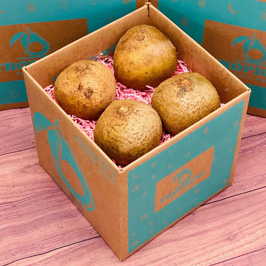 Fresh Mammee BoxSmall (5 Pounds)